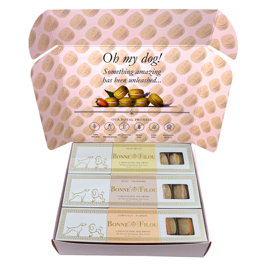 Gift box of 18 French dog macarons