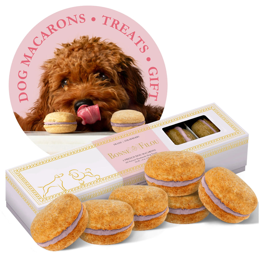 Box of six dog macarons