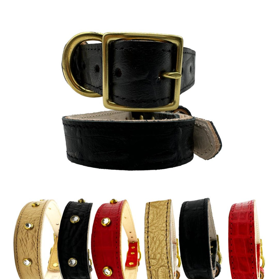 Croc leather dog collar