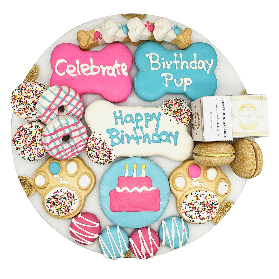 Happy Birthday dog treat gift box