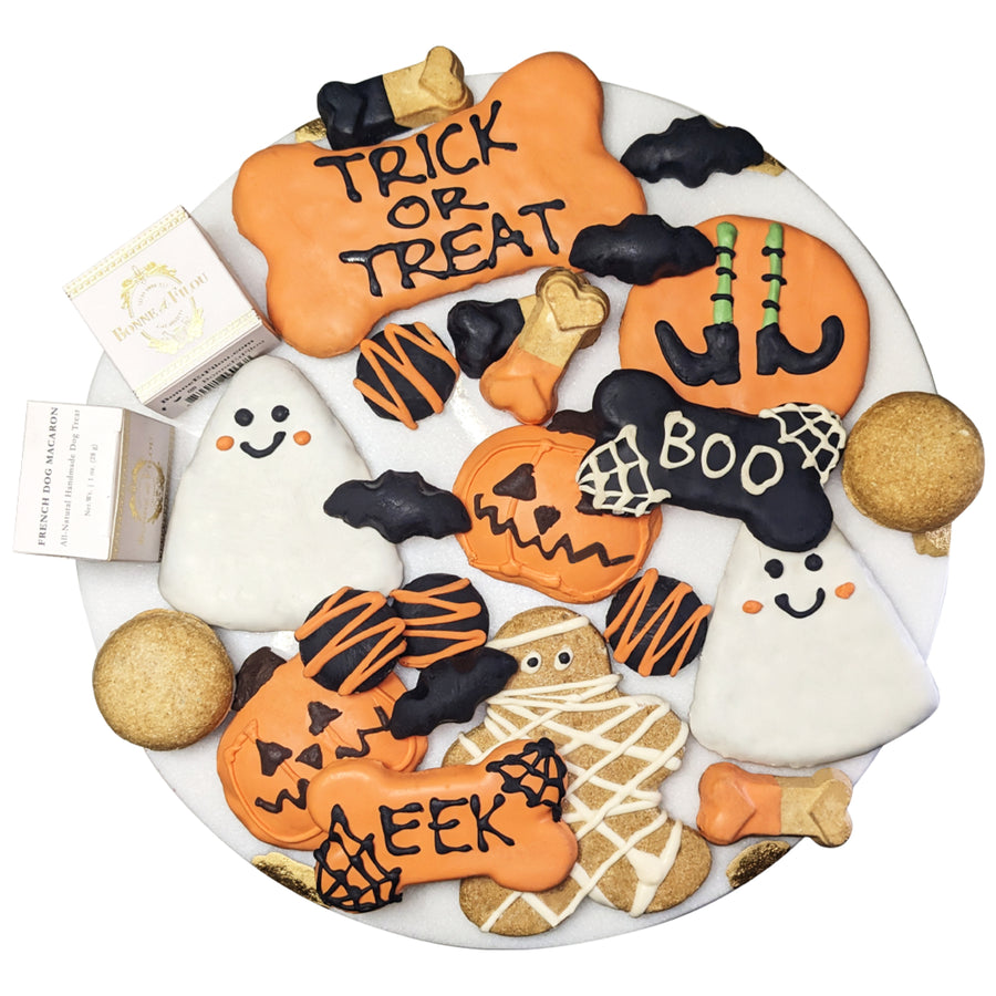 Halloween themed dog treat gift box