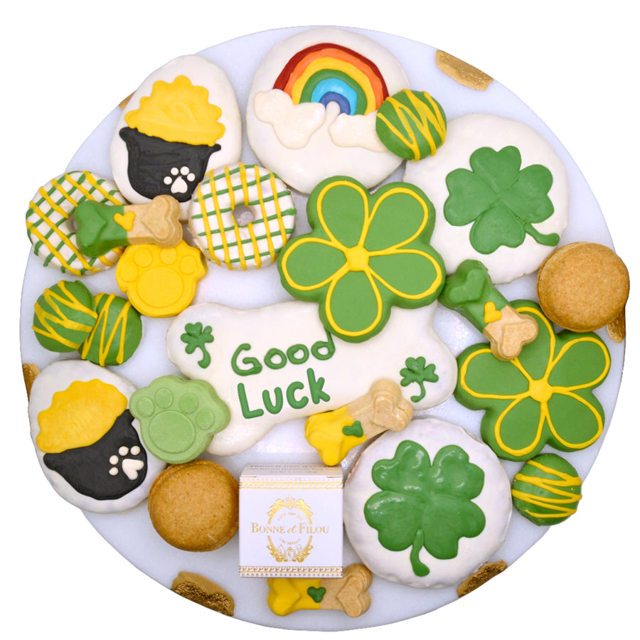 Good Luck themed dog treat gift box